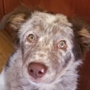 Meet your Posher, Candyce